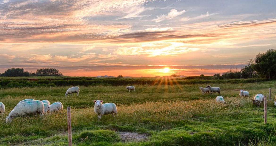 Κουρμούλης