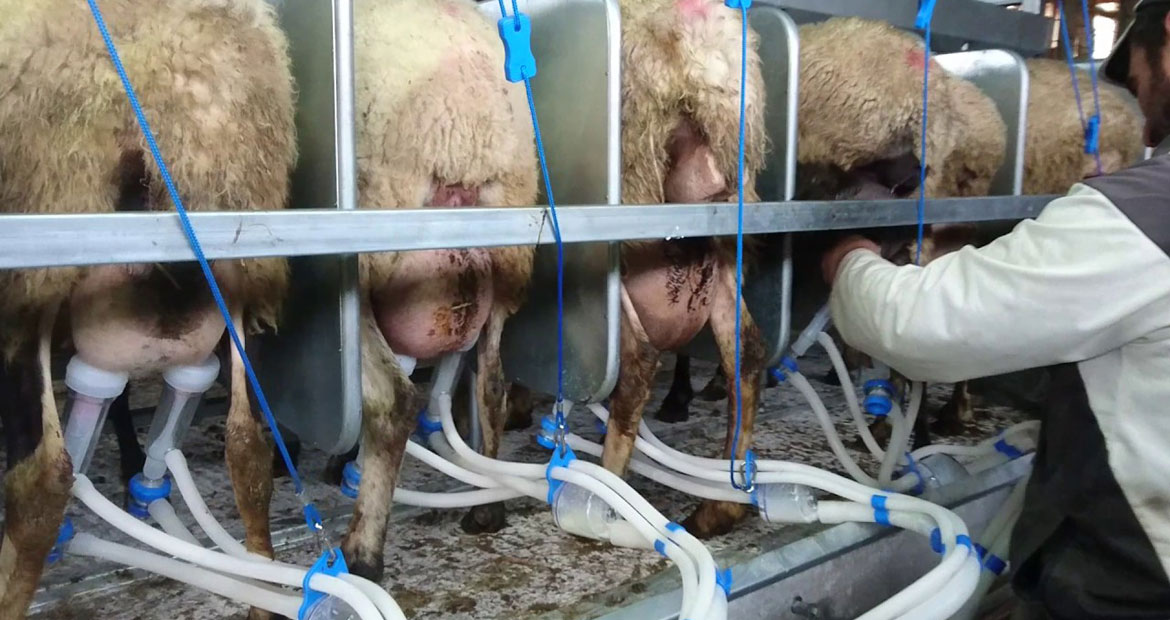 Κουρμούλης