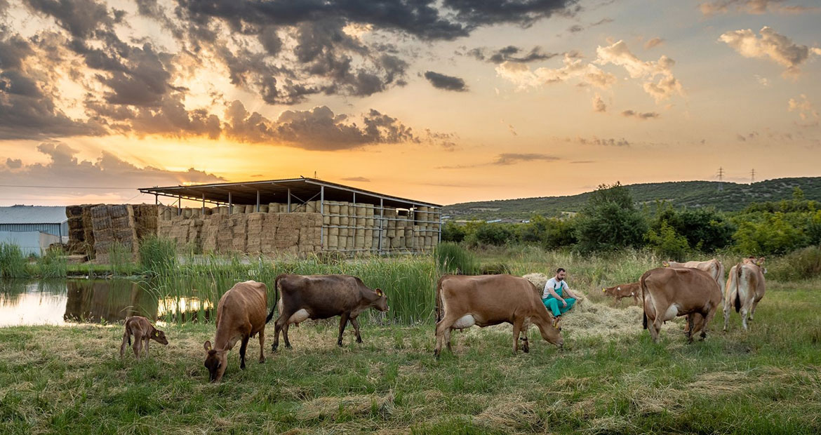 Κουρμούλης